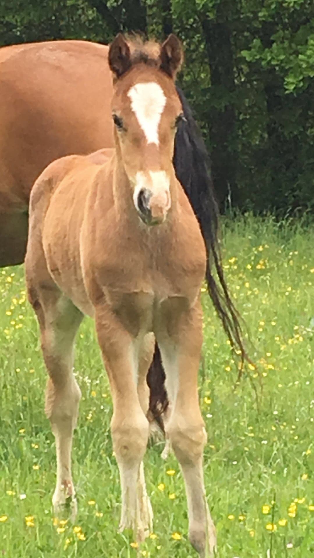 Galloway Galeriebild 006